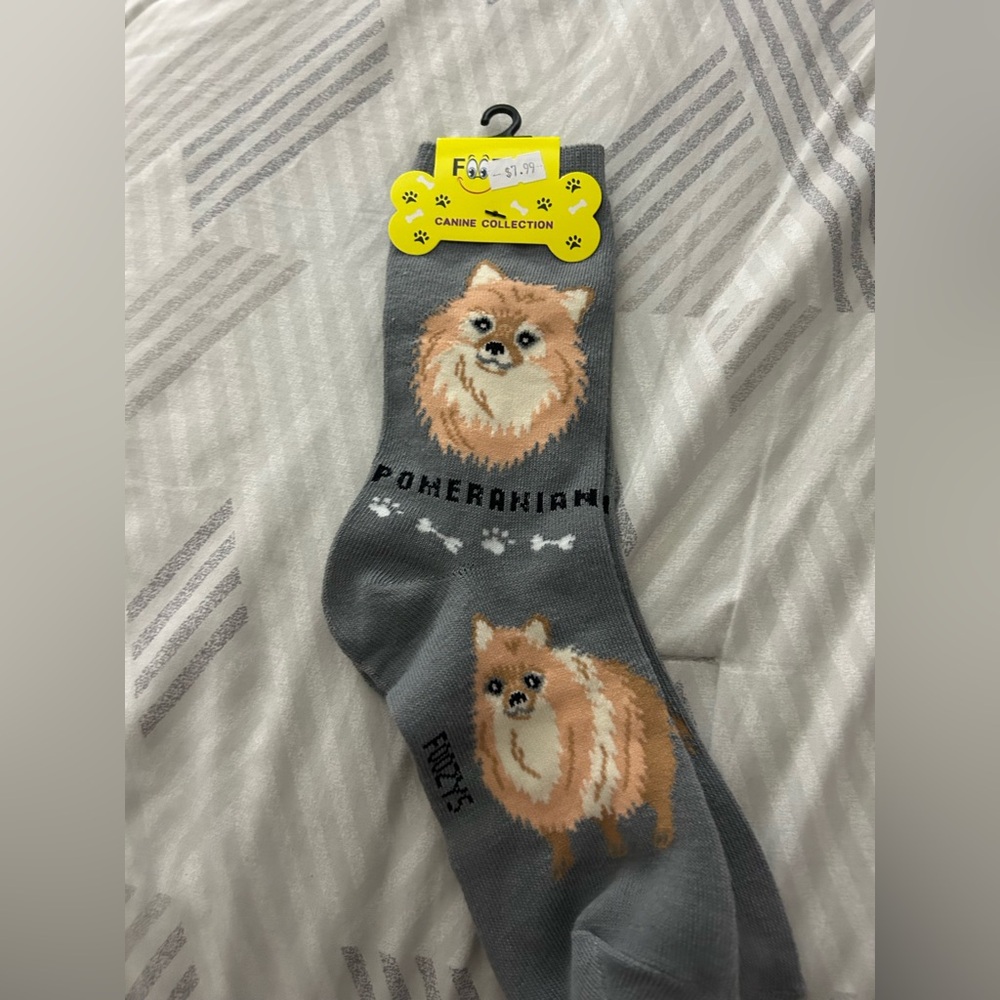 Cute Pomeranian socks